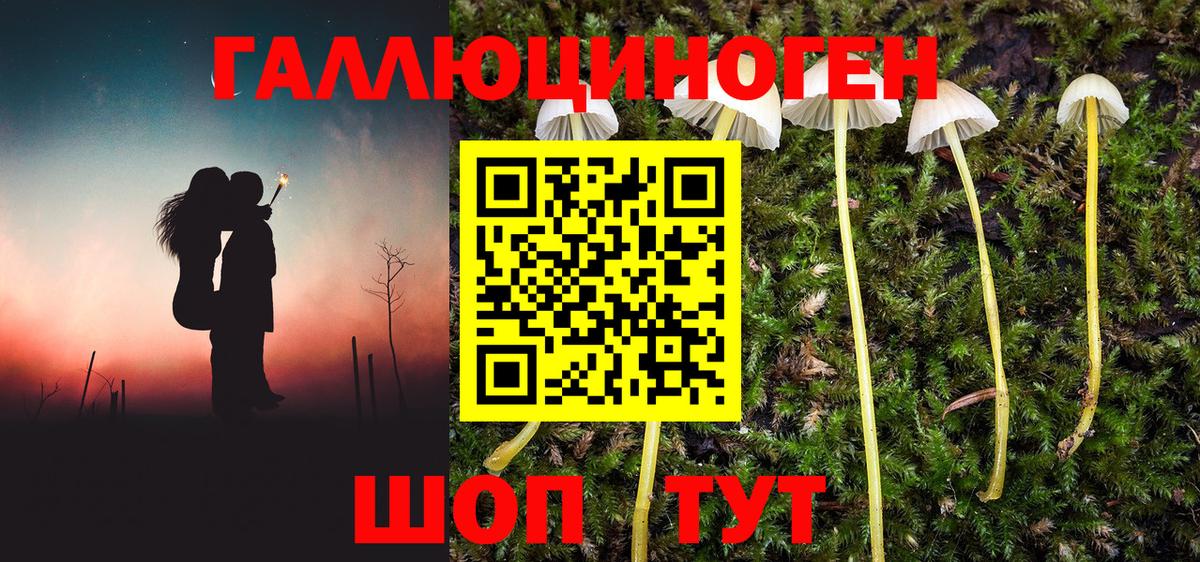 Галлюциногенные грибы GOLDEN TEACHER  Галлюциногенные грибы Magic Shrooms  Вход с VPN  Ковров 