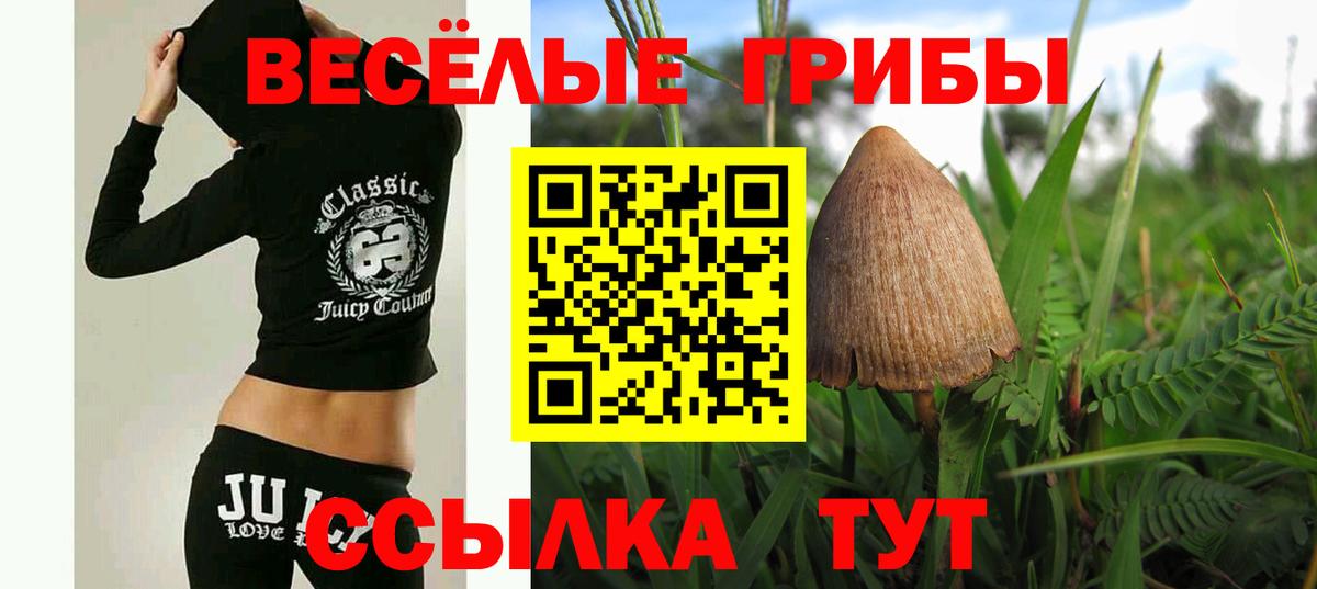 Галлюциногенные грибы мухоморы Ковров
