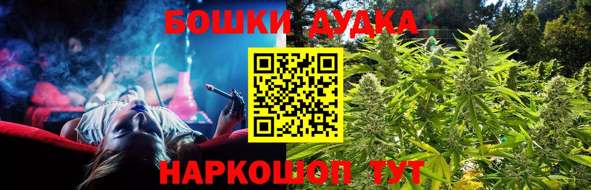 Бошки марихуана сатива Ковров